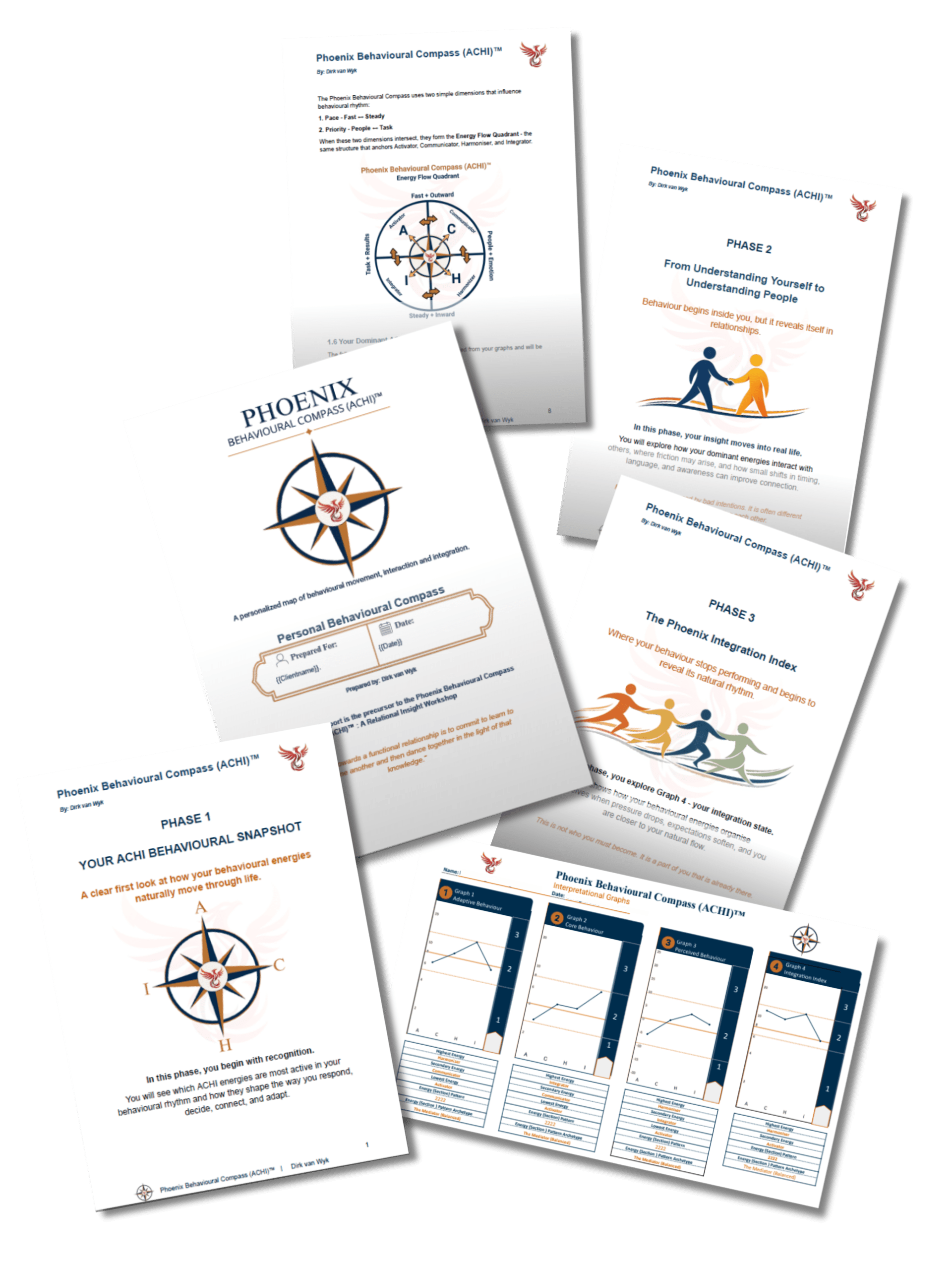 High-resolution Phoenix Behavioural Compass personalised report